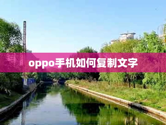 oppo手机如何复制文字