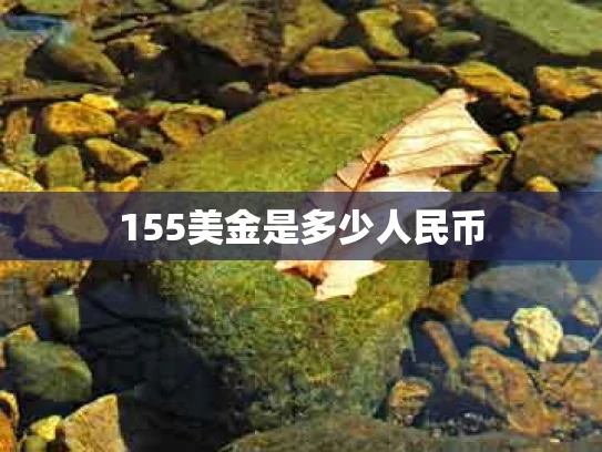 155美金是多少人民币