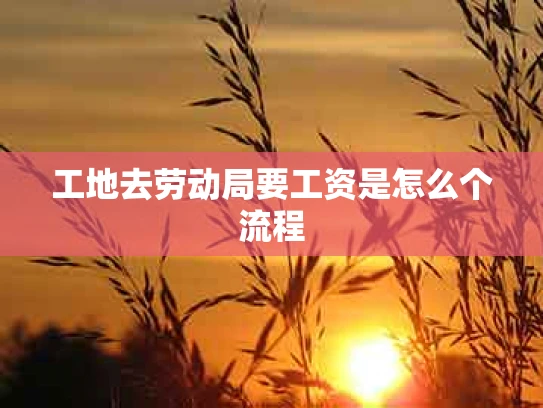 工地去劳动局要工资是怎么个流程