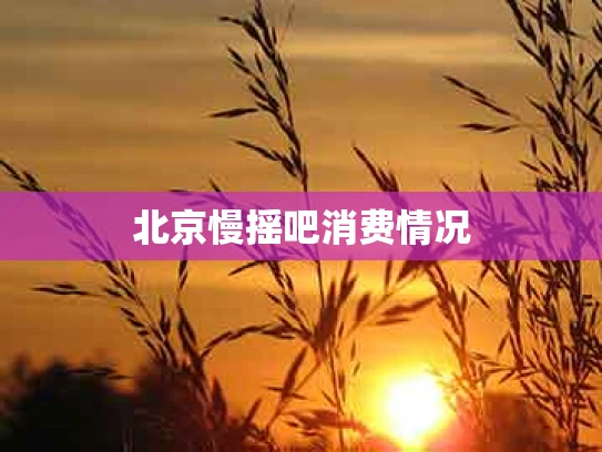 北京慢摇吧消费情况