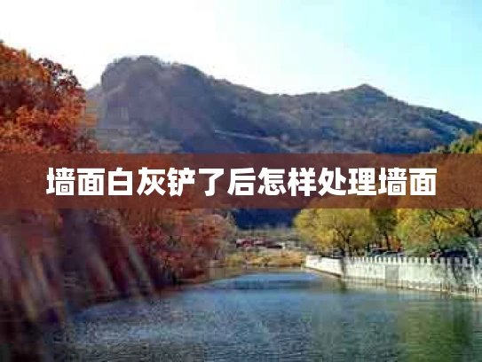 墙面白灰铲了后怎样处理墙面