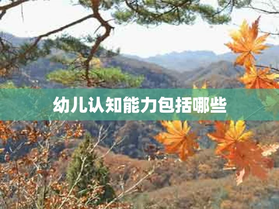 幼儿认知能力包括哪些
