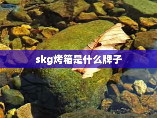 skg烤箱是什么牌子