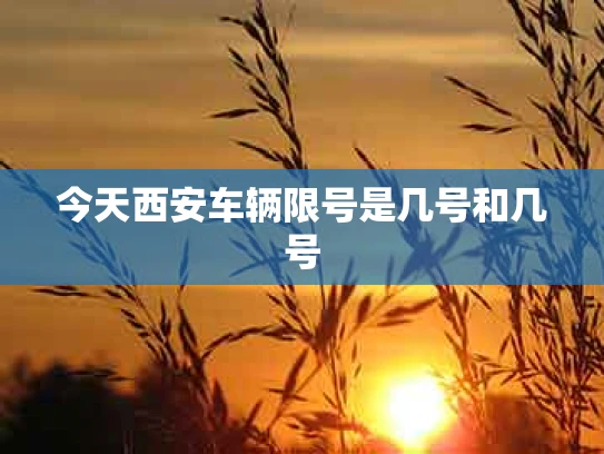 今天西安车辆限号是几号和几号