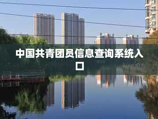 中国共青团员信息查询系统入口