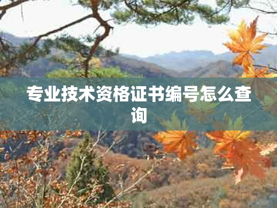 专业技术资格证书编号怎么查询