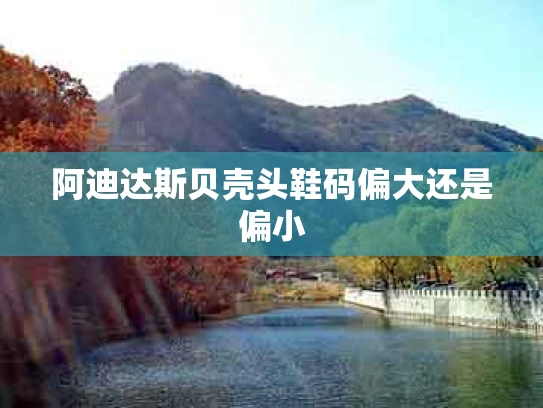阿迪达斯贝壳头鞋码偏大还是偏小