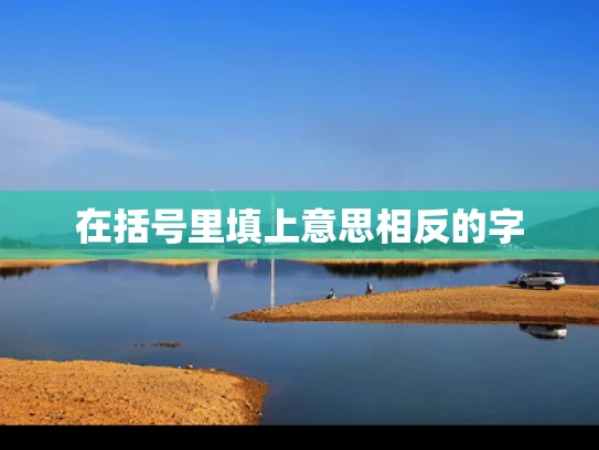 在括号里填上意思相反的字