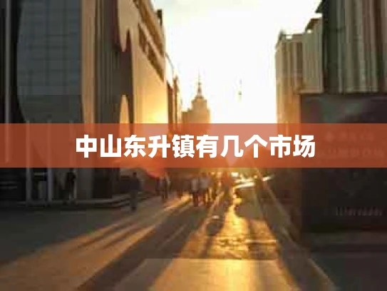 中山东升镇有几个市场