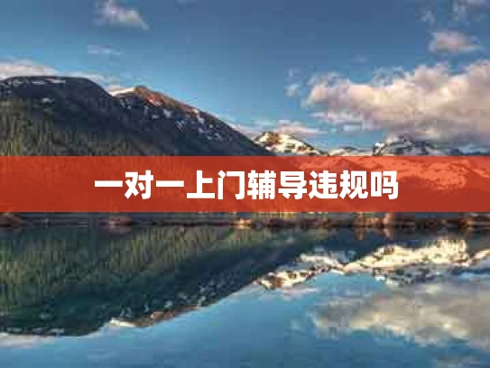 一对一上门辅导违规吗