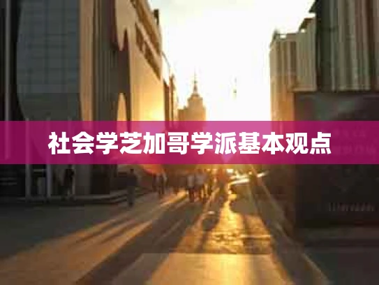 社会学芝加哥学派基本观点