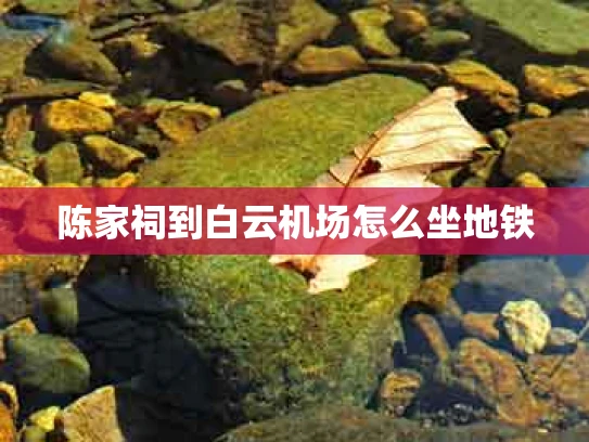 陈家祠到白云机场怎么坐地铁