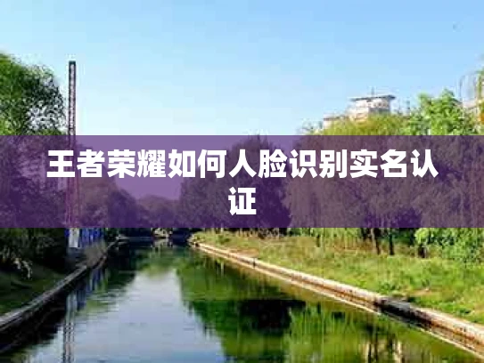 王者荣耀如何人脸识别实名认证