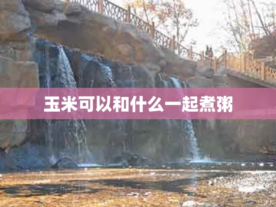 玉米可以和什么一起煮粥