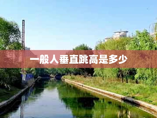 一般人垂直跳高是多少