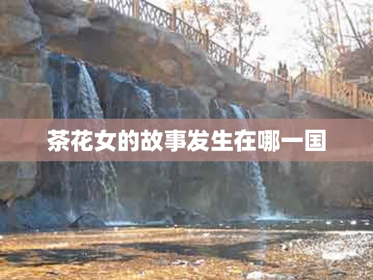 茶花女的故事发生在哪一国