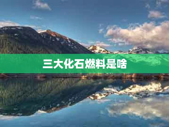 三大化石燃料是啥