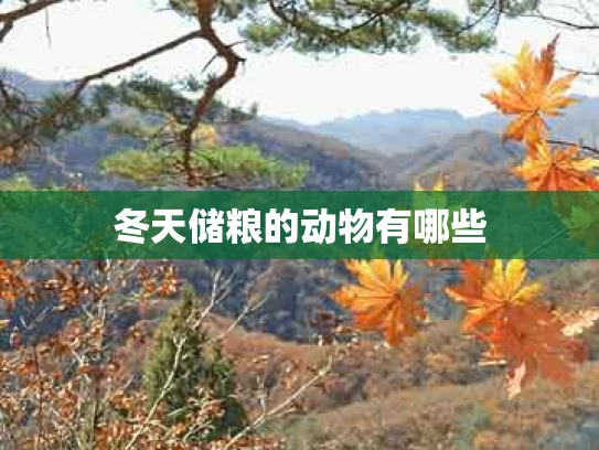 冬天储粮的动物有哪些