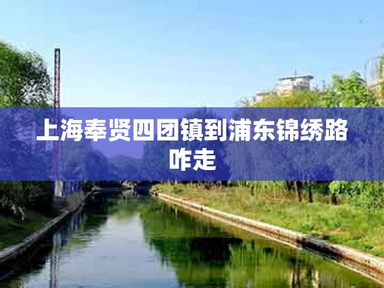 上海奉贤四团镇到浦东锦绣路咋走