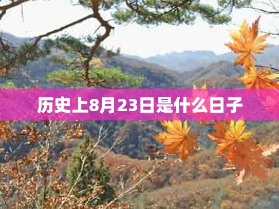 历史上8月23日是什么日子