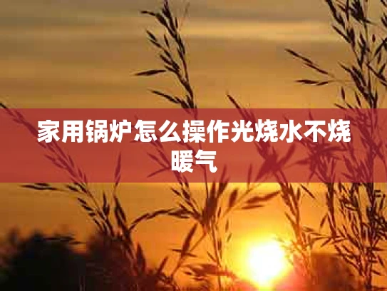 家用锅炉怎么操作光烧水不烧暖气