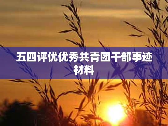 五四评优优秀共青团干部事迹材料
