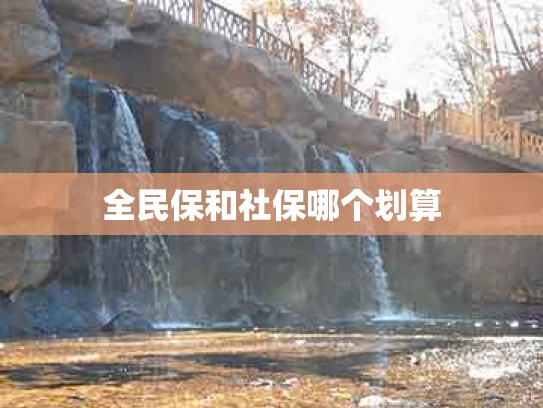 全民保和社保哪个划算