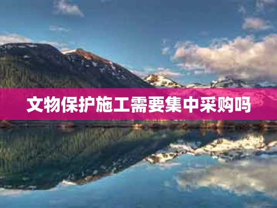 文物保护施工需要集中采购吗