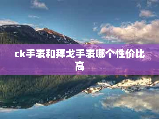 ck手表和拜戈手表哪个性价比高