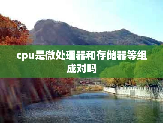 cpu是微处理器和存储器等组成对吗