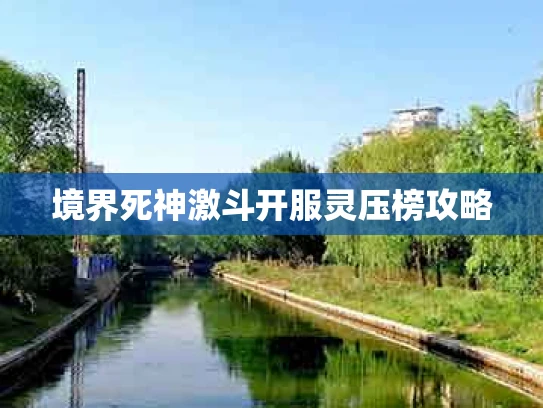 境界死神激斗开服灵压榜攻略