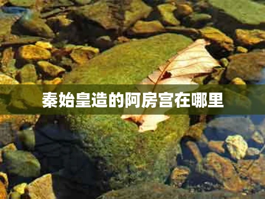 秦始皇造的阿房宫在哪里