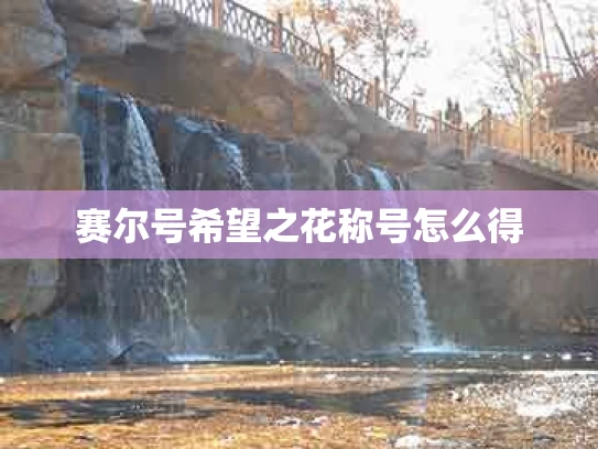 赛尔号希望之花称号怎么得