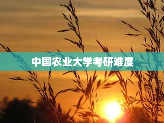 中国农业大学考研难度
