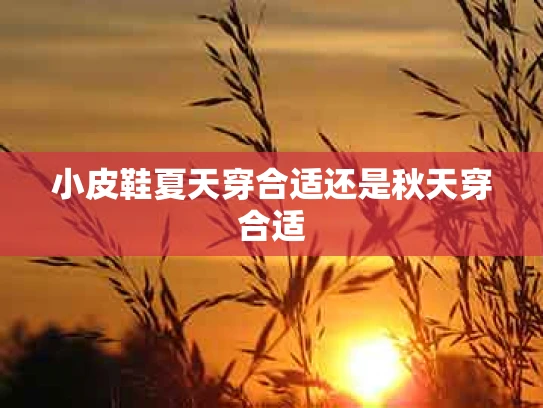 小皮鞋夏天穿合适还是秋天穿合适