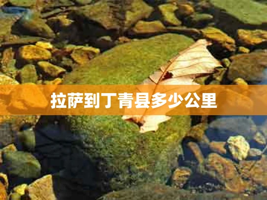 拉萨到丁青县多少公里