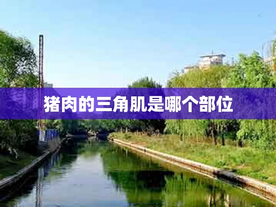 猪肉的三角肌是哪个部位