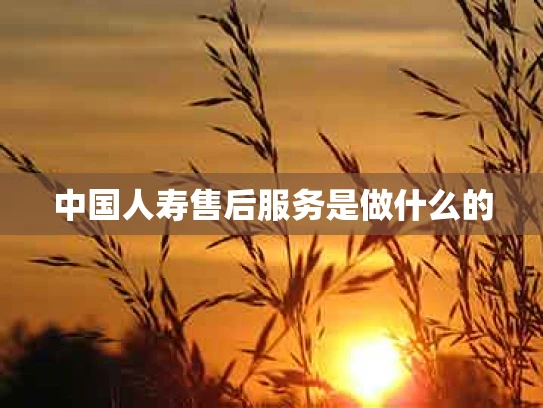 中国人寿售后服务是做什么的