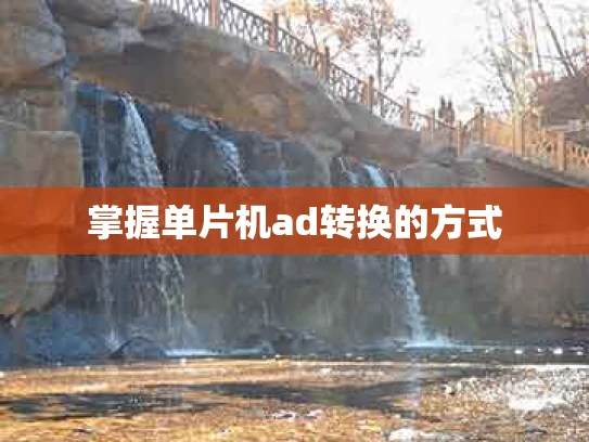 掌握单片机ad转换的方式