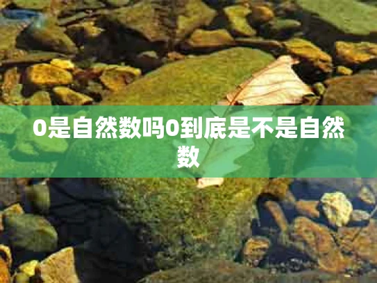 0是自然数吗0到底是不是自然数