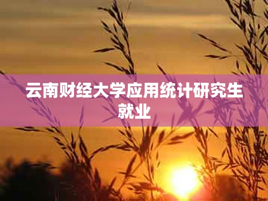 云南财经大学应用统计研究生就业
