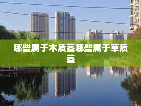 哪些属于木质茎哪些属于草质茎