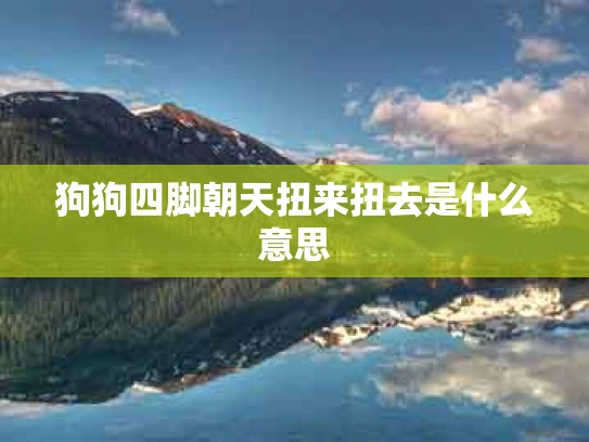 狗狗四脚朝天扭来扭去是什么意思