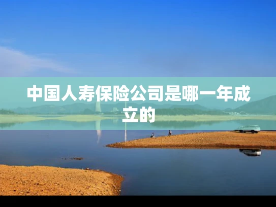中国人寿保险公司是哪一年成立的