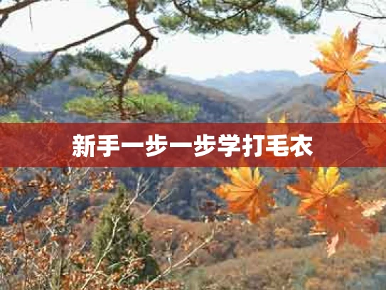 新手一步一步学打毛衣