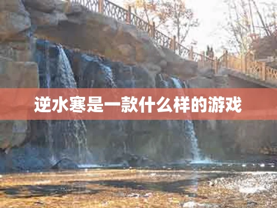 逆水寒是一款什么样的游戏