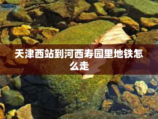 天津西站到河西寿园里地铁怎么走