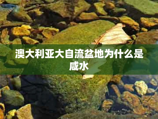 澳大利亚大自流盆地为什么是咸水