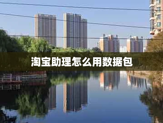 淘宝助理怎么用数据包