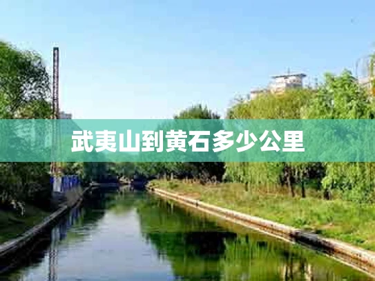 武夷山到黄石多少公里